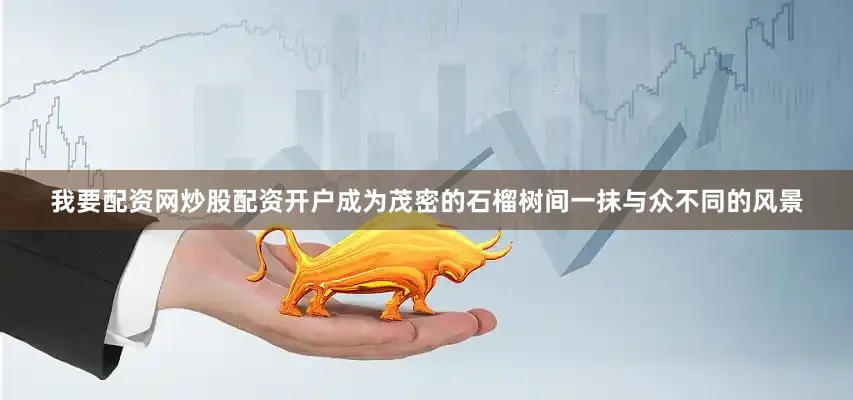 我要配资网炒股配资开户成为茂密的石榴树间一抹与众不同的风景