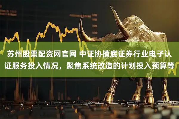 苏州股票配资网官网 中证协摸底证券行业电子认证服务投入情况，聚焦系统改造的计划投入预算等